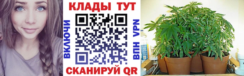 Купить Каннабис  COCAIN  Псилоцибиновые грибы  ТГК  ГАШ  Мефедрон  Солнечногорск